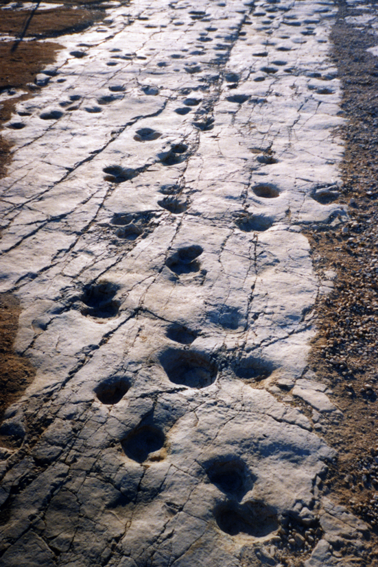 audioguida Cava dei dinosauri